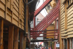 P1050496