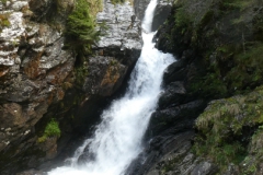 P1050255