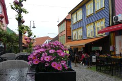 P1050464