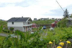 P1050573
